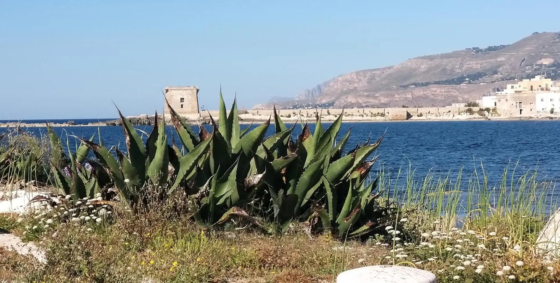 32Venti Comfort Apartments Trapani Holiday home